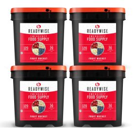 Freeze Dried Fruit Bucket (Option: 480 Serving)